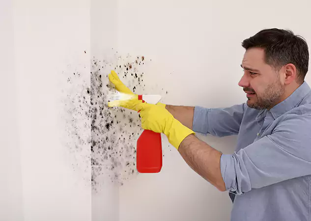 Your Water Mold Fire Restoration Partner in Waleska, GA