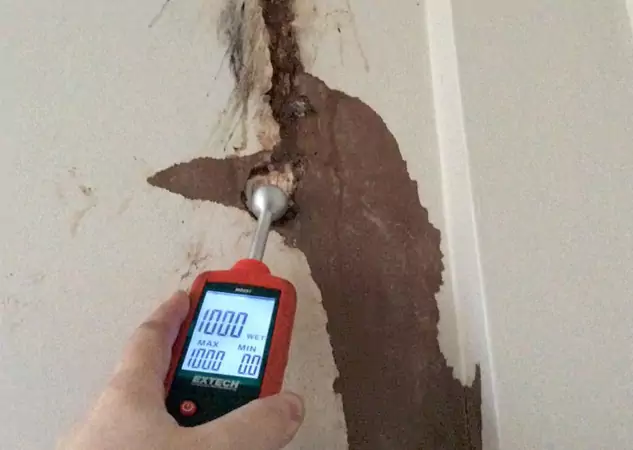 Your Water Damage Assessment Partner in Waleska, GA