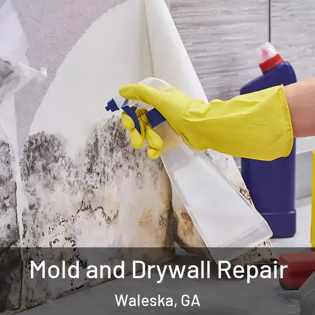  Mold and Drywall Repair Waleska, GA
