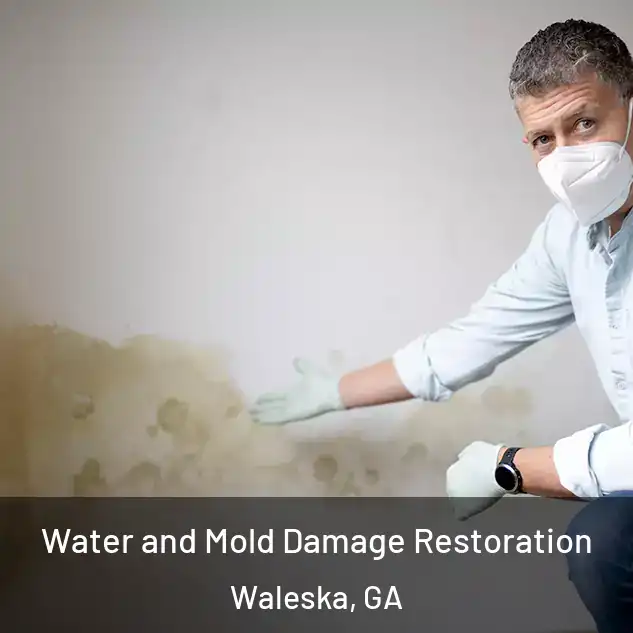  Water and Mold Damage Restoration Waleska, GA