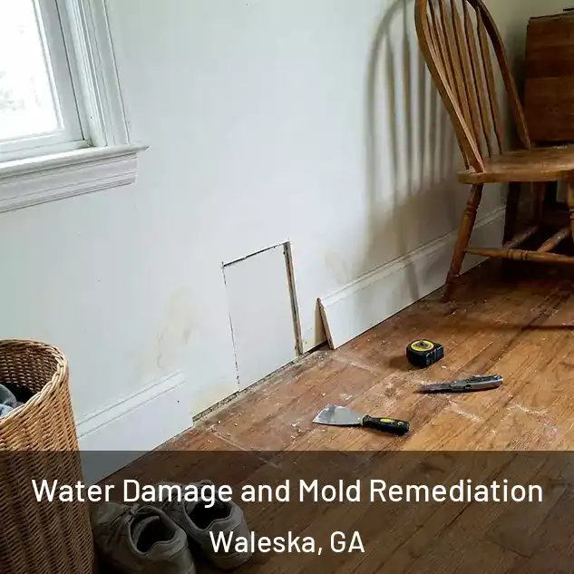  Water Damage and Mold Remediation Waleska, GA