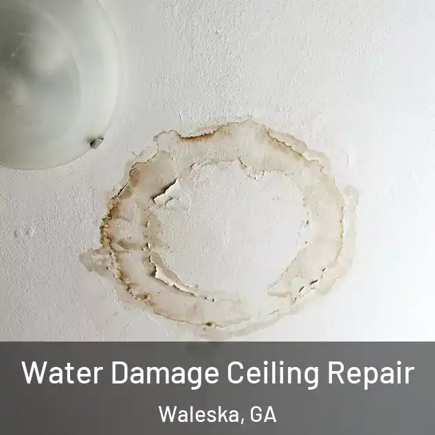  Water Damage Ceiling Repair Waleska, GA