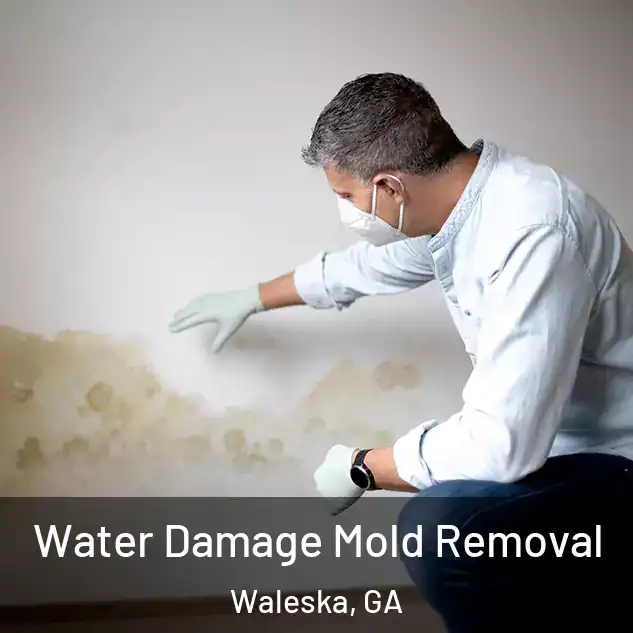  Water Damage Mold Removal Waleska, GA