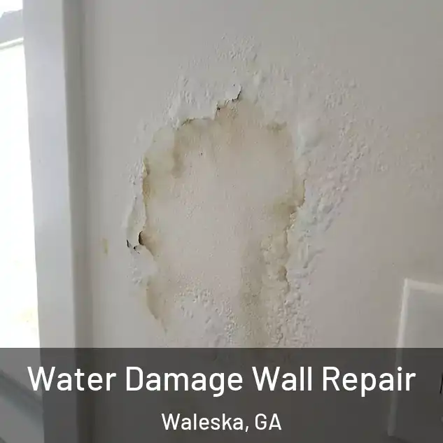  Water Damage Wall Repair Waleska, GA